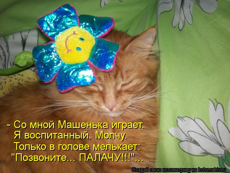 - Со мной Машенька играет. Я воспитанный. Молчу. Только в голове мелькает: "Позвоните... ПАЛАЧУ!!!"..... Котоматрица: - Со мной Машенька играет. Я воспитанный. Молчу. Только в голове мелькает: "Позвоните... ПАЛАЧУ!!!"...