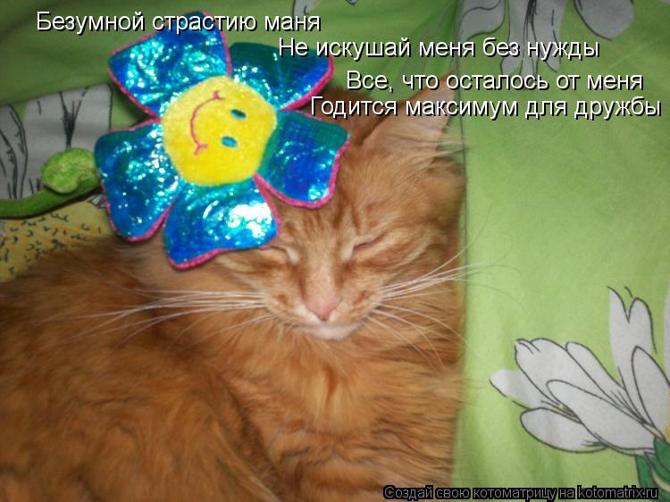 Безумной страстию маня Не искушай меня без нужды Все, что осталось от меня Годится максимум для дружб... Котоматрица: Безумной страстию маня Не искушай меня без нужды Все, что осталось от меня Годится максимум для дружбы
