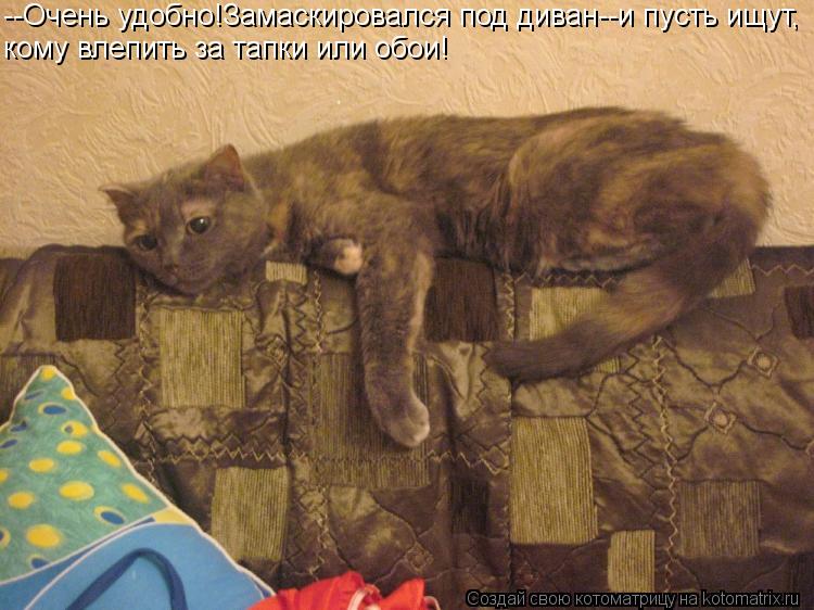 --Очень удобно!Замаскировался под диван--и пусть ищут, кому влепить за тапки или обои!... Котоматрица: --Очень удобно!Замаскировался под диван--и пусть ищут, кому влепить за тапки или обои!