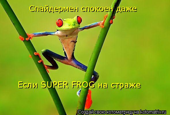 Спайдермен спокоен даже Если SUPER FROG на страже... Котоматрица: Спайдермен спокоен даже Если SUPER FROG на страже