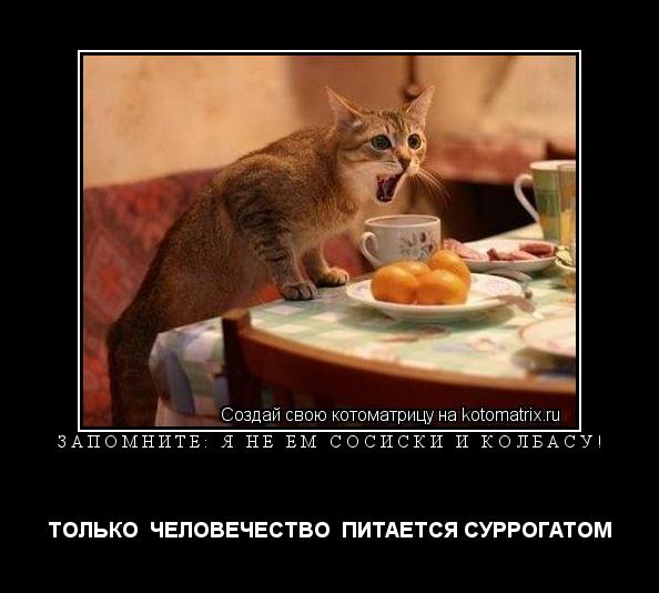 ЗАПОМНИТЕ: Я НЕ ЕМ СОСИСКИ И КОЛБАСУ! ТОЛЬКО ЧЕЛОВЕЧЕСТВО ПИТАЕТСЯ СУРРОГАТОМ... Котоматрица: ЗАПОМНИТЕ: Я НЕ ЕМ СОСИСКИ И КОЛБАСУ! ТОЛЬКО ЧЕЛОВЕЧЕСТВО ПИТАЕТСЯ СУРРОГАТОМ