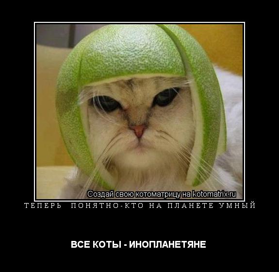ТЕПЕРЬ ПОНЯТНО-КТО НА ПЛАНЕТЕ УМНЫЙ ВСЕ КОТЫ - ИНОПЛАНЕТЯНЕ ... Котоматрица: ТЕПЕРЬ ПОНЯТНО-КТО НА ПЛАНЕТЕ УМНЫЙ ВСЕ КОТЫ - ИНОПЛАНЕТЯНЕ