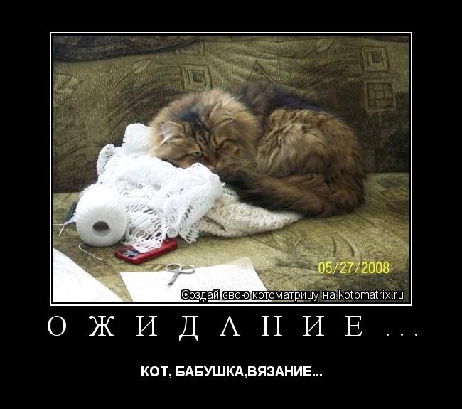 О Ж И Д А Н И Е ... КОТ, БАБУШКА,ВЯЗАНИЕ...... Котоматрица: О Ж И Д А Н И Е ... КОТ, БАБУШКА,ВЯЗАНИЕ...