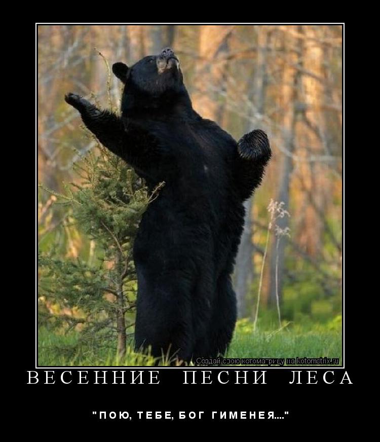 Котоматрица: ВЕСЕННИЕ  ПЕСНИ  ЛЕСА " П О Ю,  Т Е Б Е,  Б О Г   Г И М Е Н Е Я...."