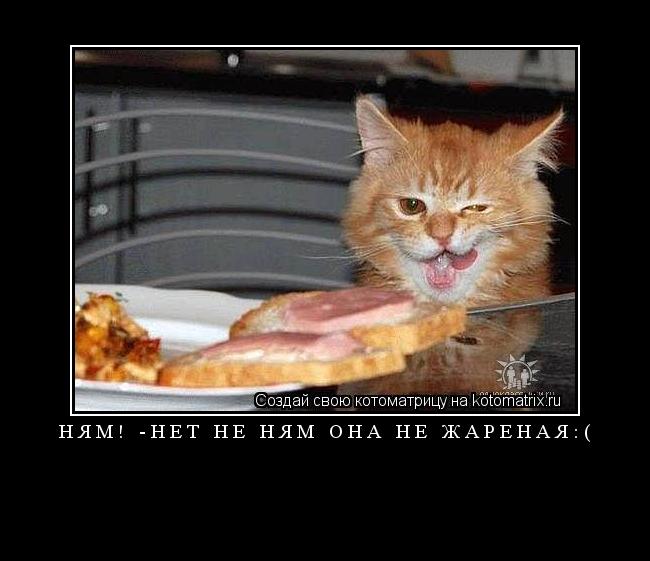 Котоматрица: НЯМ! -Нет не ням она не жареная:( 