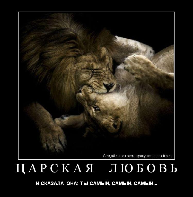 ЦАРСКАЯ ЛЮБОВЬ И СКАЗАЛА ОНА: ТЫ САМЫЙ, САМЫЙ, САМЫЙ...... Котоматрица: ЦАРСКАЯ ЛЮБОВЬ И СКАЗАЛА ОНА: ТЫ САМЫЙ, САМЫЙ, САМЫЙ...