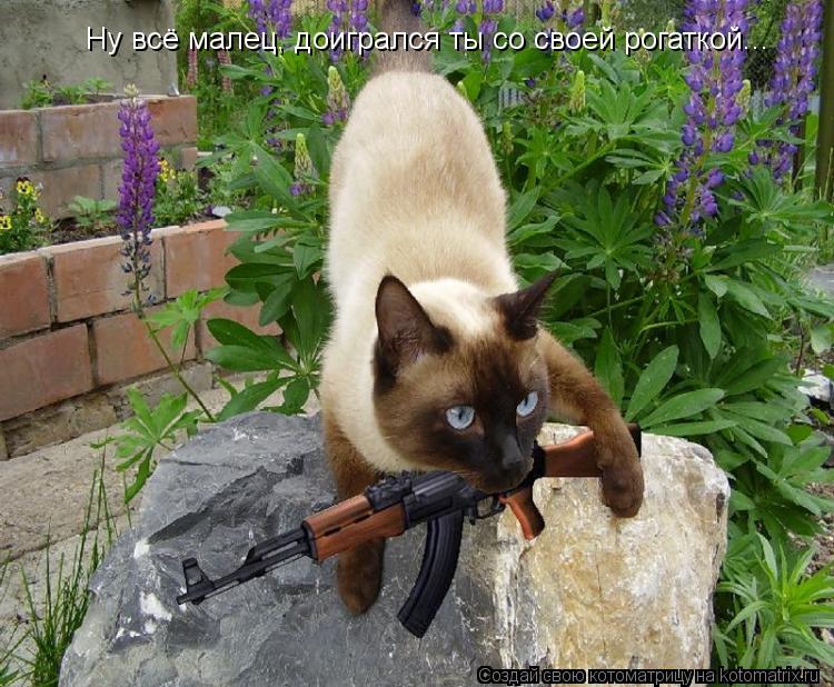 Ну всё малец, доигрался ты со своей рогаткой...... Котоматрица: Ну всё малец, доигрался ты со своей рогаткой...