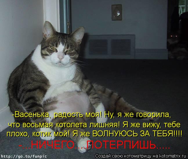 -Васенька, радость моя! Ну, я же говорила, что восьмая котолета лишняя! Я же вижу, тебе плохо, котик... Котоматрица: -Васенька, радость моя! Ну, я же говорила, что восьмая котолета лишняя! Я же вижу, тебе плохо, котик мой! Я же ВОЛНУЮСЬ ЗА ТЕБЯ!!!! -...НИЧЕГО....ПОТ