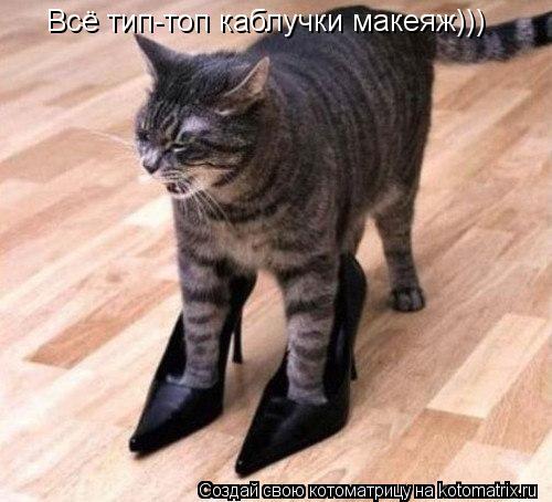 Всё тип-топ каблучки макеяж)))... Котоматрица: Всё тип-топ каблучки макеяж)))