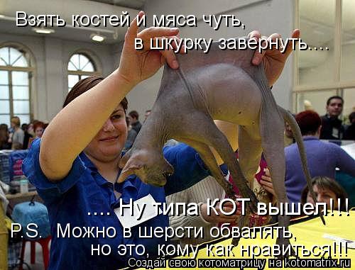 Взять костей и мяса чуть, в шкурку завернуть.... P.S. Можно в шерсти обвалять, но это, кому как нра... Котоматрица: Взять костей и мяса чуть, в шкурку завернуть.... P.S. Можно в шерсти обвалять, но это, кому как нравиться!!! .... Ну типа КОТ вышел!!!