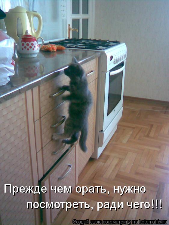 посмотреть, ради чего!!! Прежде чем орать, нужно... Котоматрица: посмотреть, ради чего!!! Прежде чем орать, нужно
