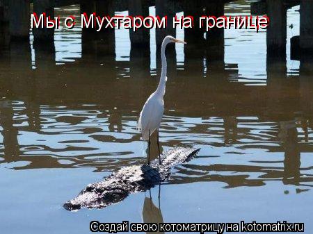 Мы с Мухтаром на границе Мы с Мухтаром на границе... Котоматрица: Мы с Мухтаром на границе Мы с Мухтаром на границе