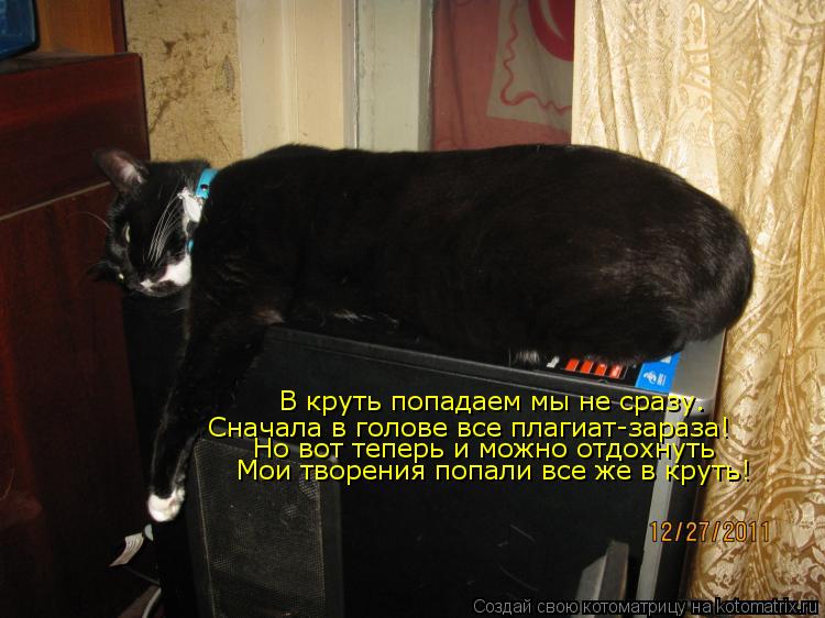 В круть попадаем мы не сразу. Сначала в голове все плагиат-зараза! Но вот теперь и можно отдохнуть Мо... Котоматрица: В круть попадаем мы не сразу. Сначала в голове все плагиат-зараза! Но вот теперь и можно отдохнуть Мои творения попали все же в круть!