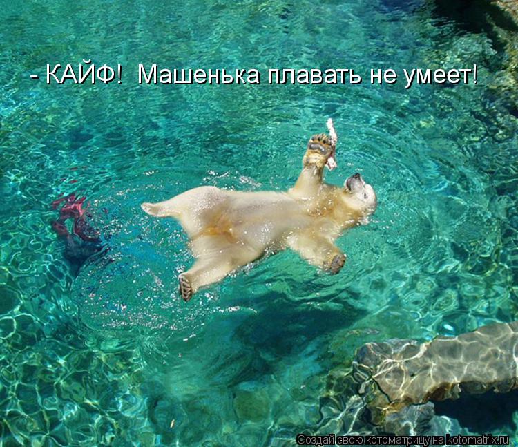 - КАЙФ! Машенька плавать не умеет!... Котоматрица: - КАЙФ! Машенька плавать не умеет!