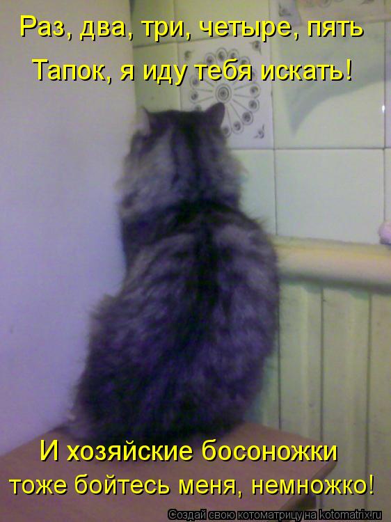 Раз, два, три, четыре, пять Тапок, я иду тебя искать! И хозяйские босоножки тоже бойтесь меня, немнож... Котоматрица: Раз, два, три, четыре, пять Тапок, я иду тебя искать! И хозяйские босоножки тоже бойтесь меня, немножко!