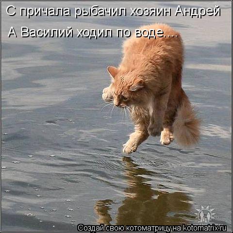 А Василий ходил по воде.... С причала рыбачил хозяин Андрей... Котоматрица: А Василий ходил по воде.... С причала рыбачил хозяин Андрей
