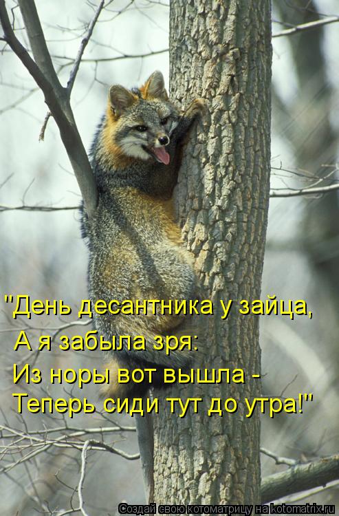 Теперь сиди тут до утра!" "День десантника у зайца, А я забыла зря: Из норы вот вышла -... Котоматрица: Теперь сиди тут до утра!" "День десантника у зайца, А я забыла зря: Из норы вот вышла -