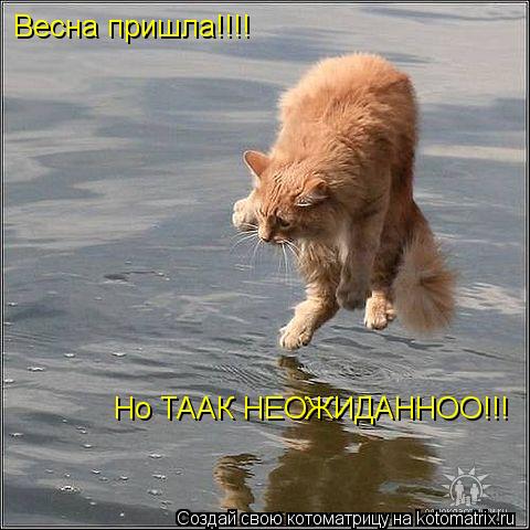 Весна пришла!!!! Но ТААК НЕОЖИДАННОО!!!... Котоматрица: Весна пришла!!!! Но ТААК НЕОЖИДАННОО!!!