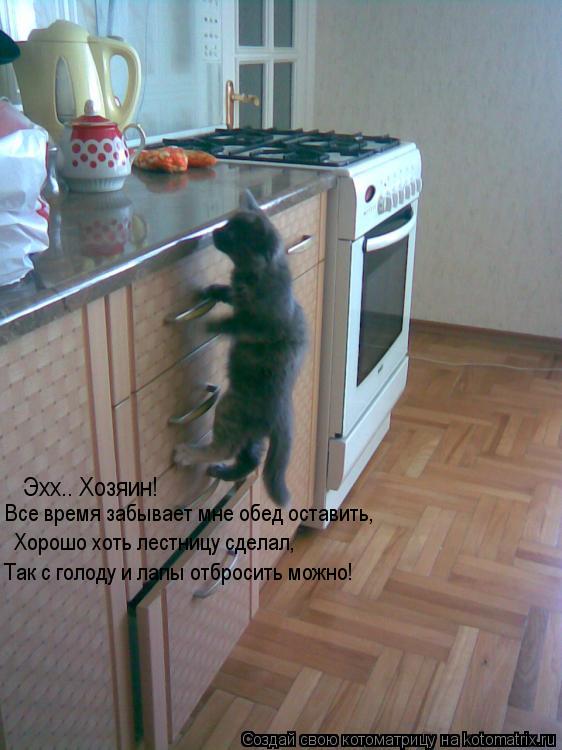 Эхх.. Хозяин! Все время забывает мне обед оставить, Хорошо хоть лестницу сделал, Так с голоду и лапы... Котоматрица: Эхх.. Хозяин! Все время забывает мне обед оставить, Хорошо хоть лестницу сделал, Так с голоду и лапы отбросить можно!