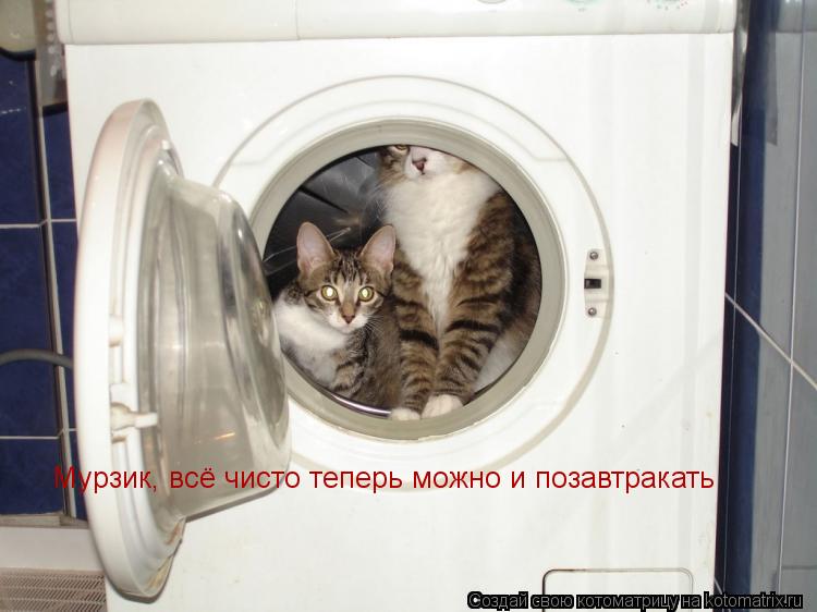 Мурзик, всё чисто теперь можно и позавтракать... Котоматрица: Мурзик, всё чисто теперь можно и позавтракать