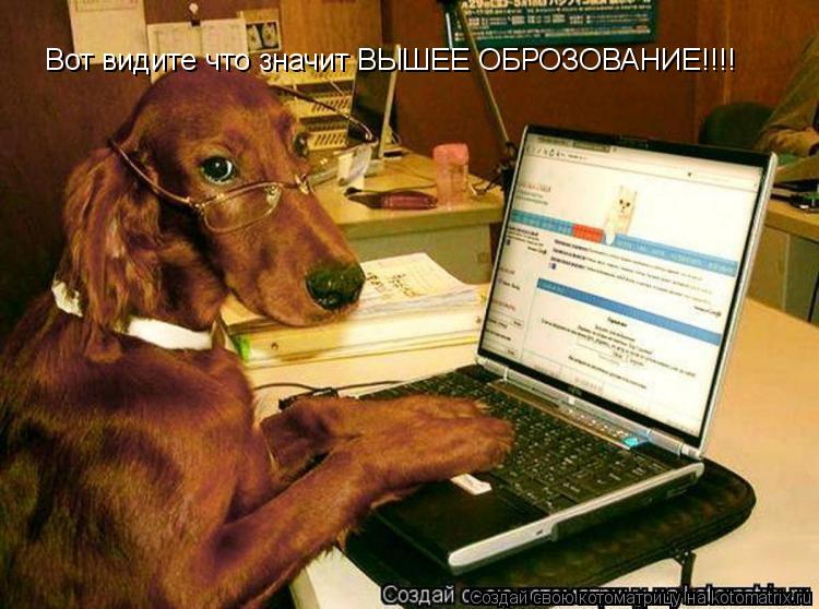 Вот видите что значит ВЫШЕЕ ОБРОЗОВАНИЕ!!!!... Котоматрица: Вот видите что значит ВЫШЕЕ ОБРОЗОВАНИЕ!!!!