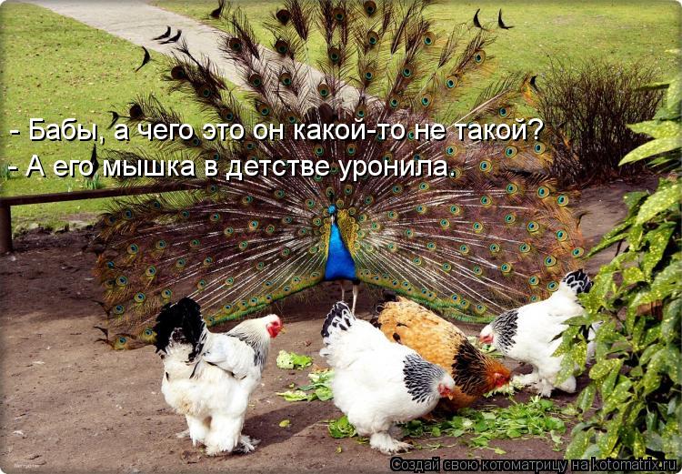 - Бабы, а чего это он какой-то не такой? - А его мышка в детстве уронила.... Котоматрица: - Бабы, а чего это он какой-то не такой? - А его мышка в детстве уронила.