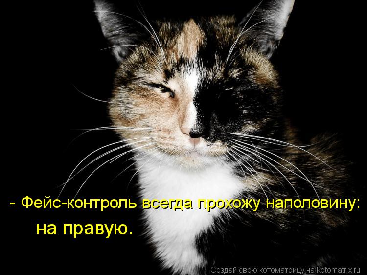- Фейс-контроль всегда прохожу наполовину: на правую.... Котоматрица: - Фейс-контроль всегда прохожу наполовину: на правую.