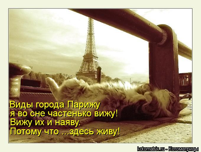 Виды города Парижу я во сне частенько вижу! Вижу их и наяву. Потому что ...здесь живу!... Котоматрица: Виды города Парижу я во сне частенько вижу! Вижу их и наяву. Потому что ...здесь живу!