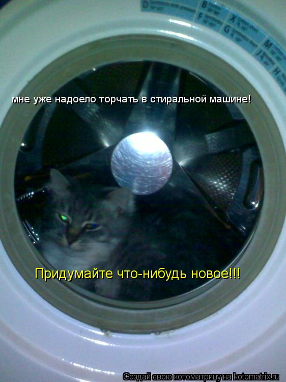 мне уже надоело торчать в стиральной машине! Придумайте что-нибудь новое!!!... Котоматрица: мне уже надоело торчать в стиральной машине! Придумайте что-нибудь новое!!!