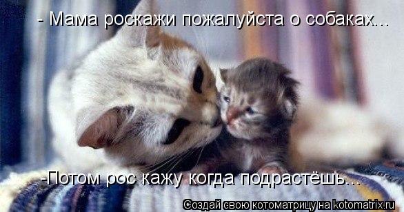 - Мама роскажи пожалуйста о собаках... -Потом рос кажу когда подрастёшь...... Котоматрица: - Мама роскажи пожалуйста о собаках... -Потом рос кажу когда подрастёшь...