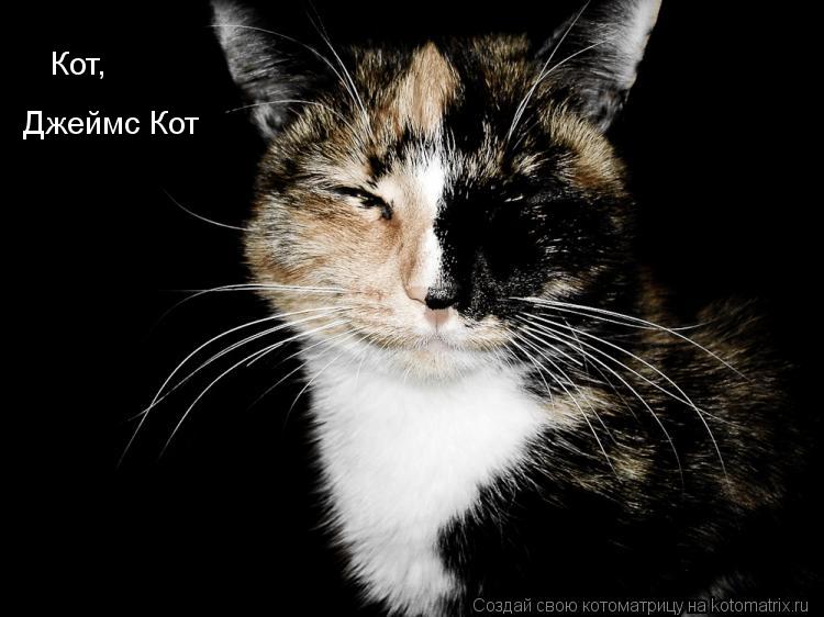 Кот, Джеймс Кот... Котоматрица: Кот, Джеймс Кот