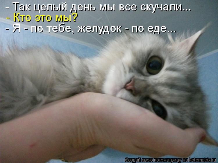 - Так целый день мы все скучали... - Кто это мы? - Я - по тебе, желудок - по еде...... Котоматрица: - Так целый день мы все скучали... - Кто это мы? - Я - по тебе, желудок - по еде...