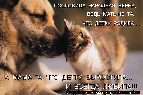 ПОСЛОВИЦА НАРОДНАЯ ВЕРНА, ВЕДЬ МАТЬ НЕ ТА, ЧТО ДЕТКУ РОДИЛА.... А МАМА ТА, ЧТО ДЕТКУ ВЫРОСТИ... Котоматрица: ПОСЛОВИЦА НАРОДНАЯ ВЕРНА, ВЕДЬ МАТЬ НЕ ТА, ЧТО ДЕТКУ РОДИЛА.... А МАМА ТА, ЧТО ДЕТКУ ВЫРОСТИЛА.... И ВСЕГДА ЛЮБИЛА!!!