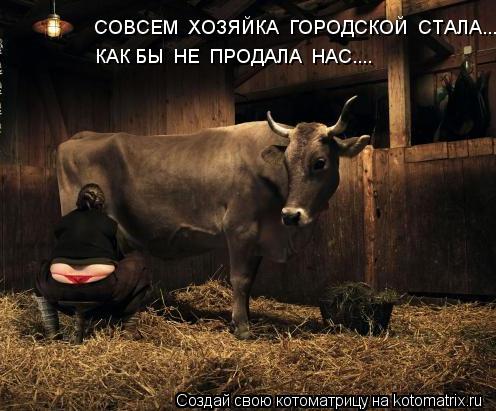 СОВСЕМ ХОЗЯЙКА ГОРОДСКОЙ СТАЛА.... КАК БЫ НЕ ПРОДАЛА НАС....... Котоматрица: СОВСЕМ ХОЗЯЙКА ГОРОДСКОЙ СТАЛА.... КАК БЫ НЕ ПРОДАЛА НАС....