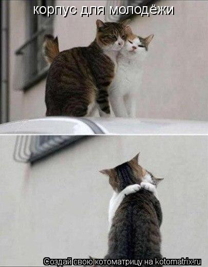 корпус для молодёжи... Котоматрица: корпус для молодёжи