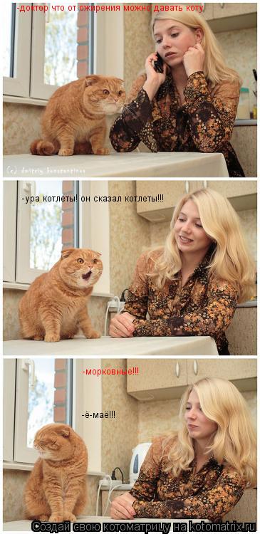 -доктор что от ожирения можно давать коту -ура котлеты! он сказал котлеты!!! -морковные!!! -ё-маё!!!... Котоматрица: -доктор что от ожирения можно давать коту -ура котлеты! он сказал котлеты!!! -морковные!!! -ё-маё!!!