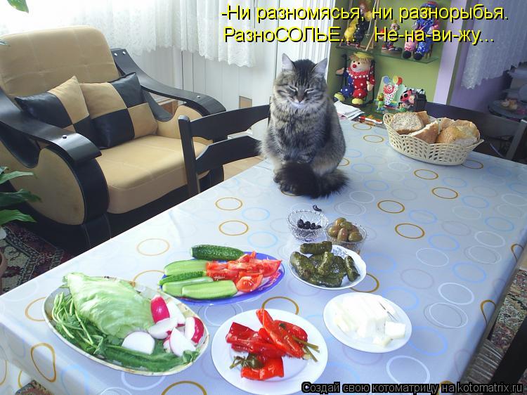 -Ни разномясья, ни разнорыбья. РазноСОЛЬЕ... Не-на-ви-жу...... Котоматрица: -Ни разномясья, ни разнорыбья. РазноСОЛЬЕ... Не-на-ви-жу...