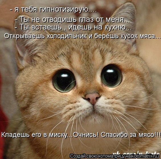 - я тебя гипнотизирую.... - Ты не отводишь глаз от меня... - Ты встаешь , идешь на кухню... Открывае... Котоматрица: - я тебя гипнотизирую.... - Ты не отводишь глаз от меня... - Ты встаешь , идешь на кухню... Открываешь холодильник и берёшь кусок мяса... Кладешь ег