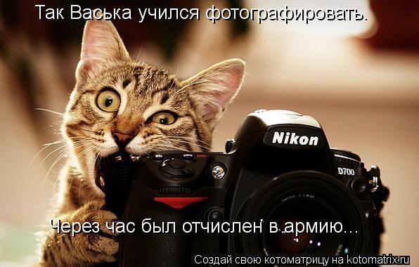 Так Васька учился фотографировать. Через час был отчислен в армию...... Котоматрица: Так Васька учился фотографировать. Через час был отчислен в армию...