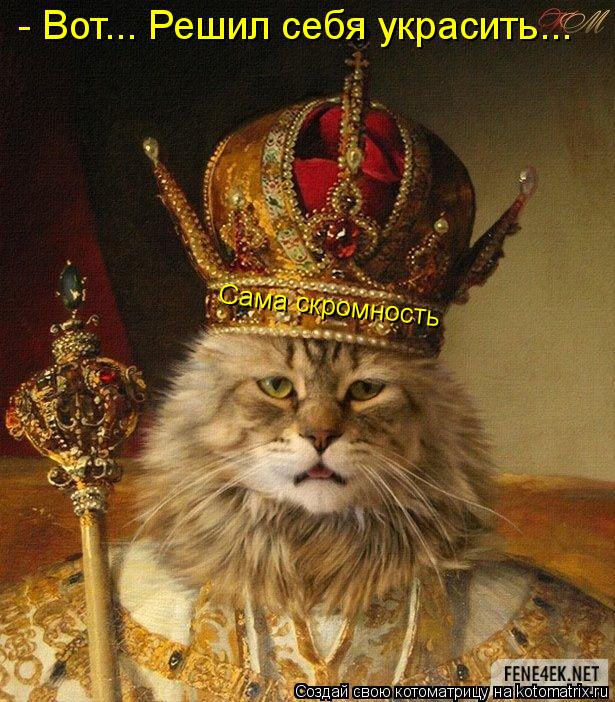Сама скромность - Вот... Решил себя украсить...... Котоматрица: Сама скромность - Вот... Решил себя украсить...