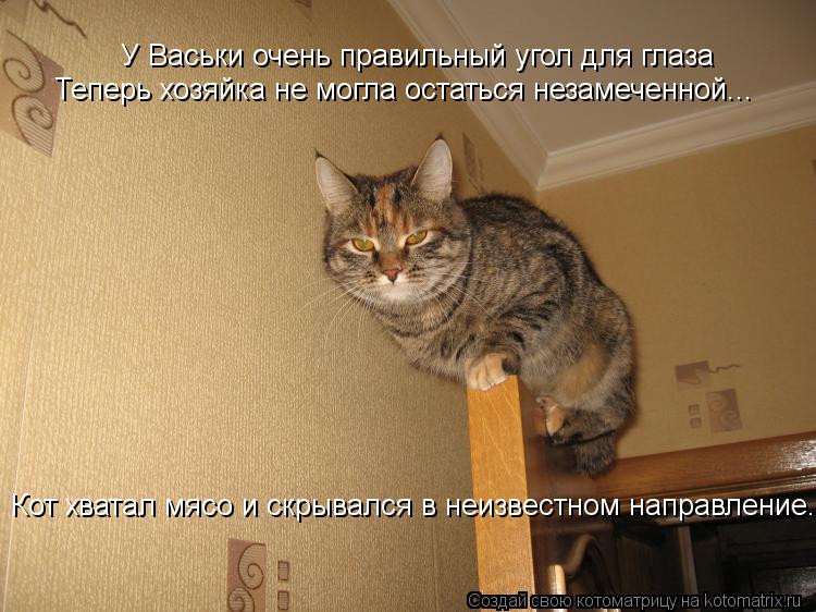 У Васьки очень правильный угол для глаза Теперь хозяйка не могла остаться незамеченной... Кот хватал ... Котоматрица: У Васьки очень правильный угол для глаза Теперь хозяйка не могла остаться незамеченной... Кот хватал мясо и скрывался в неизвестном направл