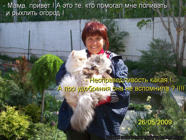 - Мама, привет ! А это те, кто помогал мне поливать и рыхлить огород ! - Несправедливость какая ! А ... Котоматрица: - Мама, привет ! А это те, кто помогал мне поливать и рыхлить огород ! - Несправедливость какая ! А про удобрения она не вспомнила ? !!!!