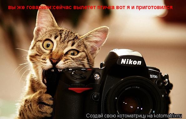 вы же говарили:сейчас вылетет птичка вот я и приготовился... Котоматрица: вы же говарили:сейчас вылетет птичка вот я и приготовился