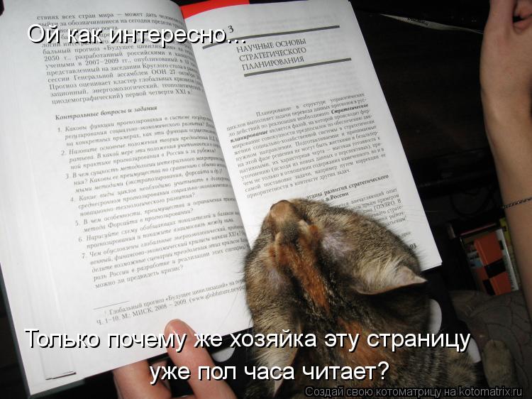 Ой как интересно... Только почему же хозяйка эту страницу уже пол часа читает?... Котоматрица: Ой как интересно... Только почему же хозяйка эту страницу уже пол часа читает?