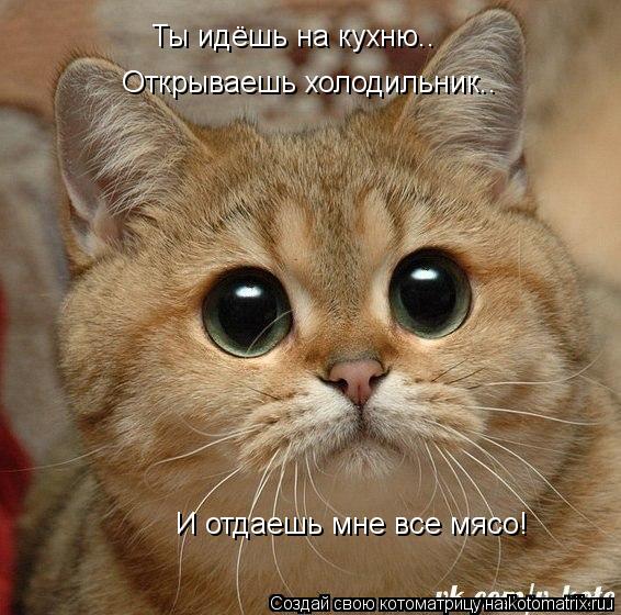 Ты идёшь на кухню.. Открываешь холодильник.. И отдаешь мне все мясо!... Котоматрица: Ты идёшь на кухню.. Открываешь холодильник.. И отдаешь мне все мясо!