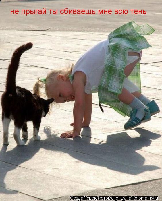 не прыгай ты сбиваешь мне всю тень... Котоматрица: не прыгай ты сбиваешь мне всю тень