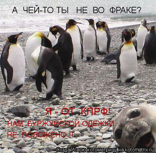 Я - ОТ КПРФ! НАМ БУРЖУЙСКОЙ ОДЕЖКИ НЕ ПОЛОЖЕНО !! А ЧЕЙ-ТО ТЫ НЕ ВО ФРАКЕ?... Котоматрица: Я - ОТ КПРФ! НАМ БУРЖУЙСКОЙ ОДЕЖКИ НЕ ПОЛОЖЕНО !! А ЧЕЙ-ТО ТЫ НЕ ВО ФРАКЕ?