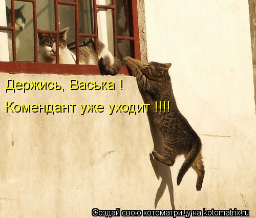 Держись, Васька ! Комендант уже уходит !!!!... Котоматрица: Держись, Васька ! Комендант уже уходит !!!!
