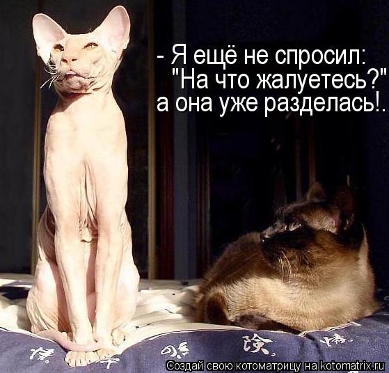 - Я ещё не спросил: "На что жалуетесь?", а она уже разделась!..... Котоматрица: - Я ещё не спросил: "На что жалуетесь?", а она уже разделась!..