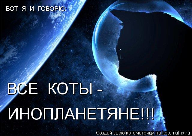 ВОТ Я И ГОВОРЮ: ВСЕ КОТЫ - ИНОПЛАНЕТЯНЕ!!!... Котоматрица: ВОТ Я И ГОВОРЮ: ВСЕ КОТЫ - ИНОПЛАНЕТЯНЕ!!!